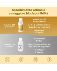 Coenzima Q10 Liposomiale Liquido - 250 ml